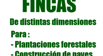 Fincas de distintas dimensiones